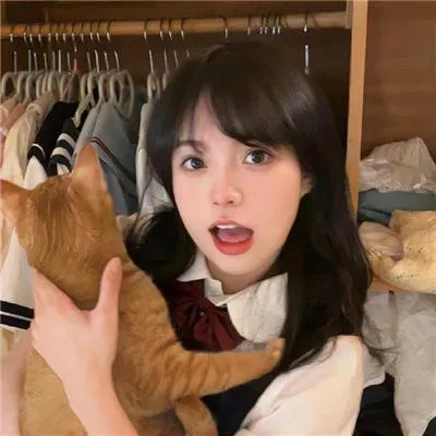 四喜电视剧免费观看全集在线播放