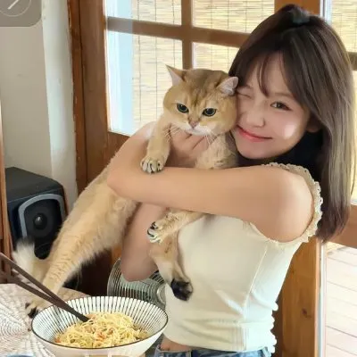 狙击蝴蝶电视剧全集